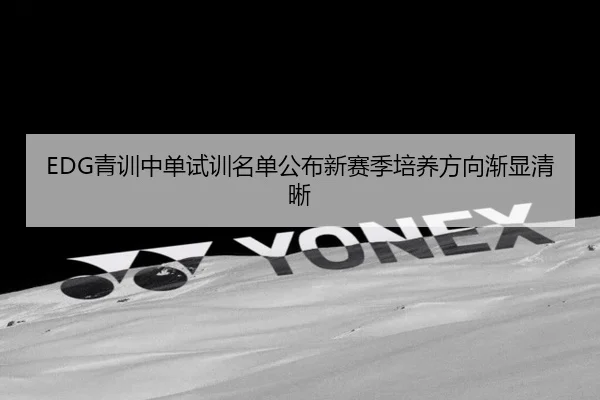 EDG青训中单试训名单公布新赛季培养方向渐显清晰